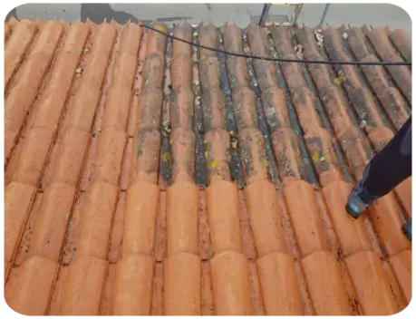 Démoussage de toiture Tonnay-Charente Démoussage de toiture Tonnay-Charente